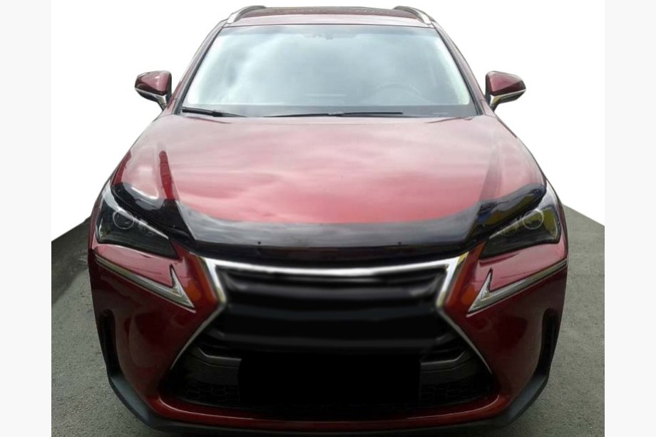 Lexus NX 2014–2021 Deflektor pokrova motorja 2014+ (SIM) Image