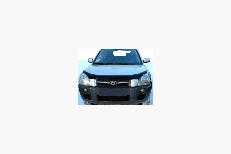 Hyundai Tucson JM 2004– Deflektor pokrova motorja (SIM) Image