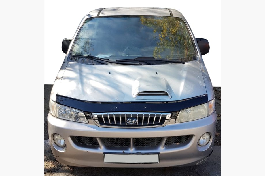 Hyundai H200, H1, Starex 1998–2007 Deflektor pokrova motorja (EuroCap) Image