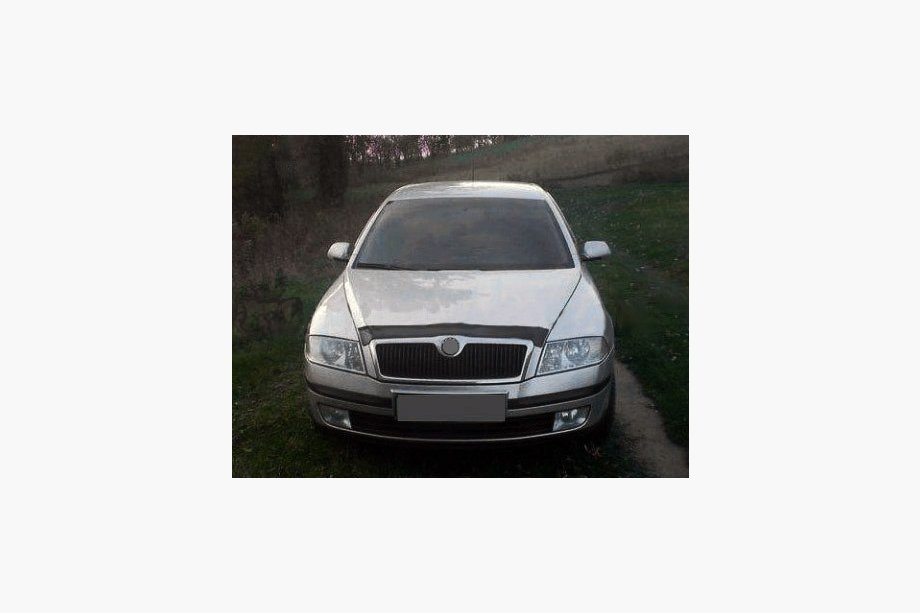 Skoda Octavia II A5 2006–2010 Deflektor pokrova motorja (VIP) Image