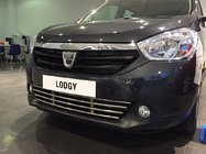 Renault Lodgy 2013–2022 Mrežica za odbijač (nerjavno jeklo) fotografija 6