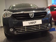 Renault Lodgy 2013–2022 Mrežica za odbijač (nerjavno jeklo) fotografija 7