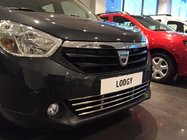 Renault Lodgy 2013–2022 Mrežica za odbijač (nerjavno jeklo) fotografija 8