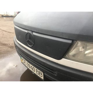 Zimska zaščita hladilne rešetke fotografija 2