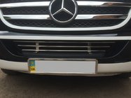 Mercedes Sprinter W906 2006–2018 Mrežica za odbijač (nerjavno jeklo) fotografija 2