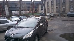 Peugeot 3008 2008–2016 Strešne sani Skyport Grey fotografija 6