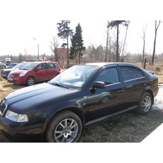Okenske obrobe (4 kosi, nerjavno jeklo) Skoda Octavia I Tour A4 1996–2010 fotografija 2