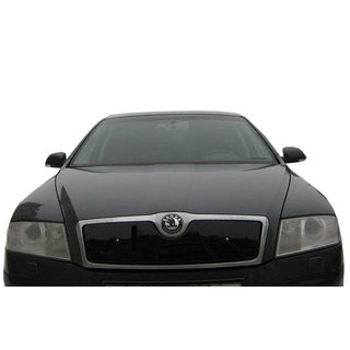 Zimska prekrivna maska za mrežo hladilnika (zgornja) Skoda Octavia II A5 2006–2010 fotografija 4
