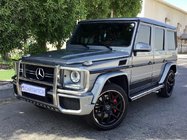 Mercedes G razred W463 1990–2018 Sprednji zaščitni lok (AMG) fotografija 1