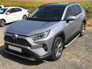 Toyota Rav 4 2019–2025 Stranske stopnice Tayga Grey (2 kos, aluminij) fotografija 1
