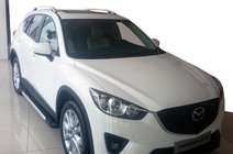 Fiat Fullback 2016– Strešne sani Skyport Grey (2 kos) fotografija 3