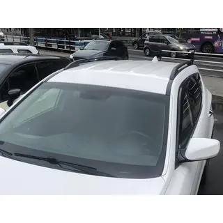 Univerzalne strešne sani Skyport 165 cm (črne) fotografija 2