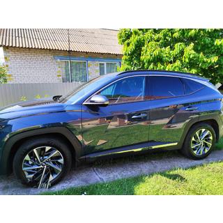 Letvice vrat (4 kos, nerjaveče jeklo) Hyundai Tucson NX4 2021– fotografija 1