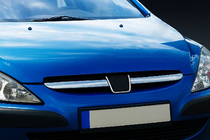 Peugeot 307 2001–2008 Inox okrasne letvice maske (2001-2005, 2 kosa) fotografija 1