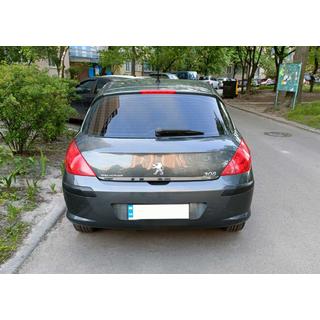 Zaščitna letev roba prtljažnika (nerjaveče jeklo)