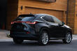 Pregled druge generacije križanca Lexus NX fotografija 2