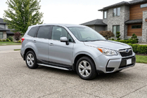 Subaru Forester 2013–2018 Stranske stopnice Shining V1 (2 kos, aluminij) fotografija 1