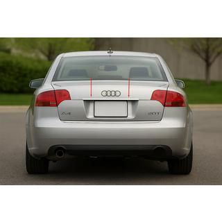Nerjaveča okrasna letvica nad registrsko tablico (Carmos) V-2 Audi A4 B7 2004–2008 fotografija 1