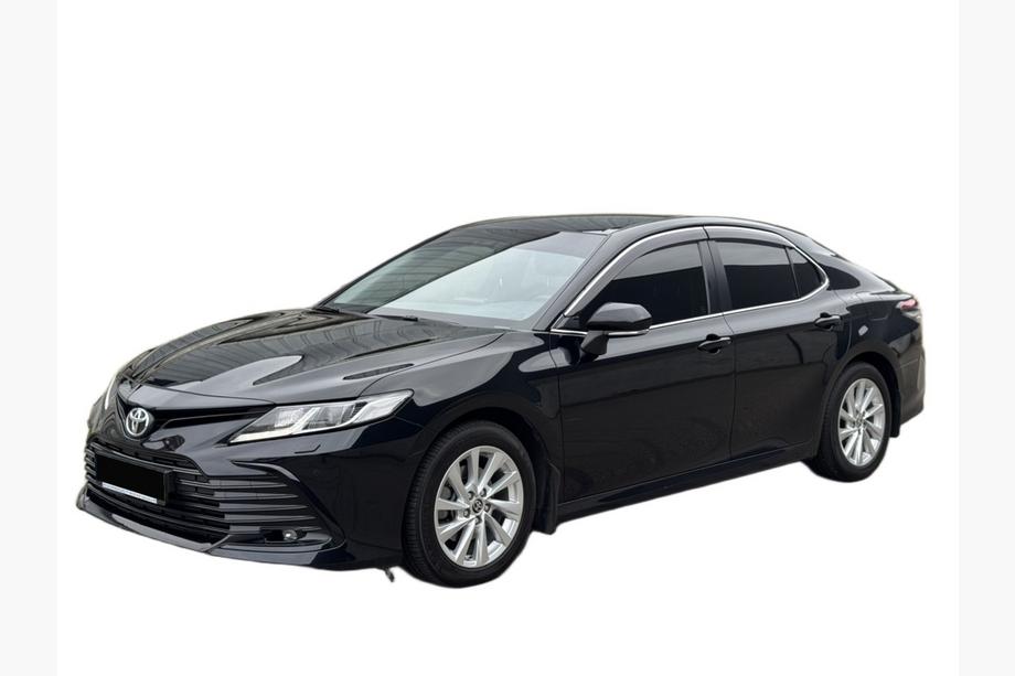 Toyota Camry 2017–2023 Blatne zavesice Premium V2 (EU/USA, L/LE/XLE) (4 kos) Image