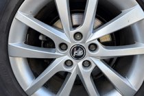 Skoda Sredinski pokrovčki platišč 56/52 mm sk5652 (4 kos) fotografija 4