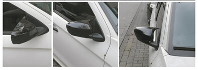 Citroen Cactus 2014–2020 Pokrovi ogledal BMW-Style (2014-2017, 2 kosa) fotografija 2