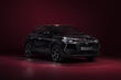 Pregled visokotehnološkega križanca DS 3 Crossback fotografija 3