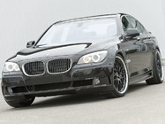BMW serija 7 F01/F02 2008–2015 Ledvični maski 1 Bar (sijajno črna s krom obrobo) fotografija 4