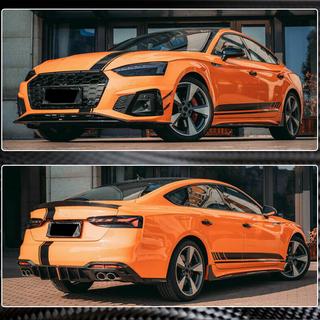 Stranski pragovi 2021-2025 V1 (za Sportback, karbon) fotografija 3