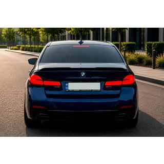 Zadnje luči LCI-design (2017-2020, 2 kos) BMW serija 5 G30/G31 2017–2023 fotografija 2
