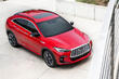 Test premijskega križanca Infiniti QX55 fotografija 2