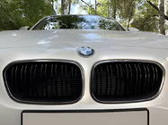 BMW serija 1 F20/F21 2011–2019 M-Look ledvičke (2011-2014, sijaj črna s krom obrobo) fotografija 1