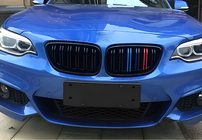 BMW serija 2 F22/F23 2014–2021 M-Look ledvične rešetke (M-Color) fotografija 3