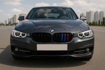 BMW serija 3 F34 2013–2020 M-Look ledvične rešetke (M-Color) fotografija 1
