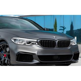 Ledvičke 1 Bar (2017-2020, mat črna) BMW serija 5 G30/G31 2017–2023 fotografija 1
