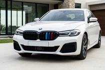 BMW serija 5 G30/G31 2017–2023 Ledvične rešetke M-Look V1 (2021+, M-Color) fotografija 1