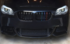 BMW X1 E84 2009–2015 M-Look ledvične rešetke (M-Color) fotografija 1