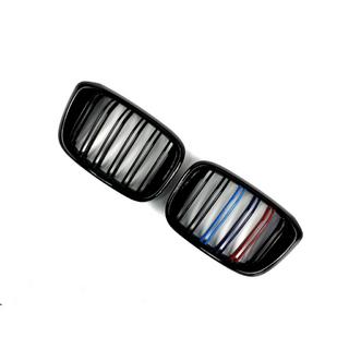 Ledvične rešetke M-Look (2018-2021, M-Color) fotografija 3