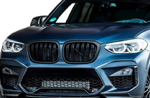 BMW X4 G02 2018– Ledvički maska M-Look (2018-2021, mat črna) fotografija 1