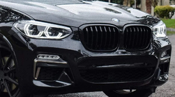 BMW X3 G01 2018– Ledvičke 1 Bar (2018-2021, črna sijajna) fotografija 4