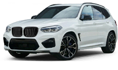 BMW X3 G01 2018– Ledvičke 1 Bar (2018-2021, črna sijajna) fotografija 1