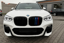 BMW X3 G01 2018– Ledvične rešetke 1 bar (2018-2021, M-Color) fotografija 1