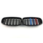 BMW X5 E70 2007–2013 M-Look ledvične rešetke (M-Color) fotografija 6
