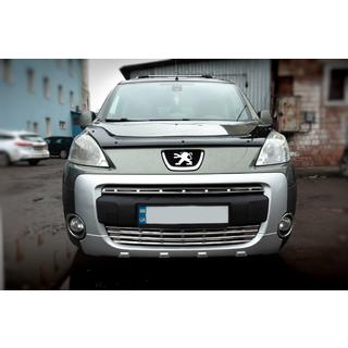 Okrasne letvice za masko hladilnika (2-delni, nerjaveče jeklo) Citroen Berlingo 2008–2018 fotografija 4