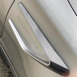 Obloge prednjih blatnikov (za coupe/kabriolet C63 AMG 2015-2019, karbon) fotografija 3