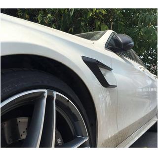 Karbon obrobe prednjih blatnikov (za SD C63 AMG 2015-2019, Carbon) fotografija 3
