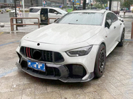 Mercedes AMG GT 4 X290 2018– Sprednja maska GT Panamericana GT-R (2018-2022) fotografija 4