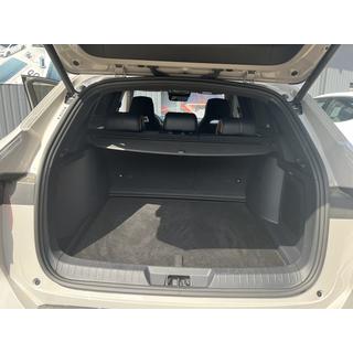 Tekstilna preproga za prtljažnik Premium (Črna) BYD Song Plus EV/Seal U 2020– fotografija 3