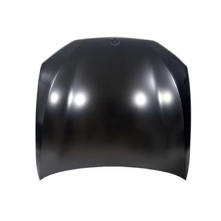 Pokrov motorja (aluminij) fotografija 1