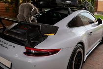 Porsche 911 (991) 2011–2019 Spojler V4 (Karbon) fotografija 2