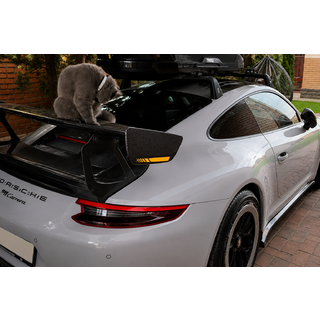 Spojler V4 (Karbon) Porsche 911 (991) 2011–2019 fotografija 2